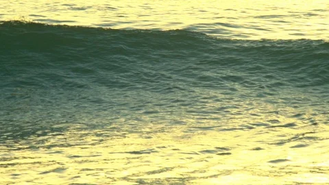 Golden Wave Stock Footage 91839824