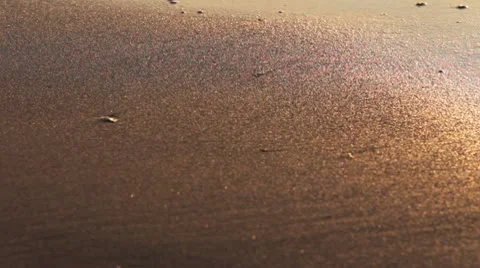 Golden waves on the beach Stock Footage 10573051