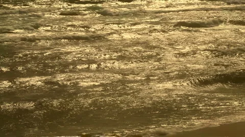 Golden waves Stock Footage 1007248