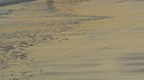 Golden waves Vídeo Stock 10770304