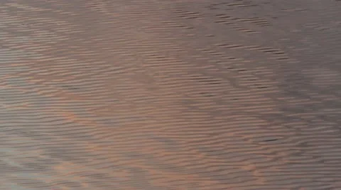 Golden waves game at sunset Stock Footage 12161316