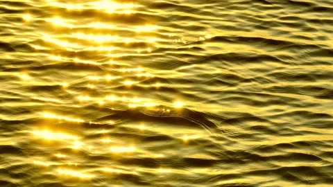 Golden waves reflecting sunlight in a tranquil ocean. Stock Footage 308508884