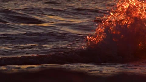 Golden waves in the sun Stock Footage 169560723