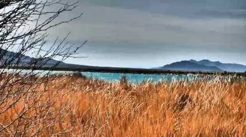 Golden Waving Grass, Dark Dramatic Sky 库存影片 38107460