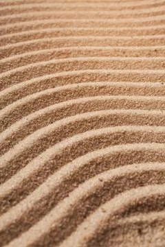 Golden wavy sand texture pattern structure, lit by morning sun. Sand dunes ba Stock Photos