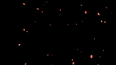 Golden Wedding Particles Background – Romantic Bokeh &amp; Heart Dust – Luxury Celeb Stock Footage 331481977