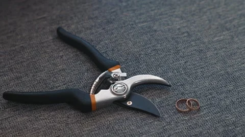 Golden wedding rings and scissors symbol of marriage breakup Stock Footage 332045242