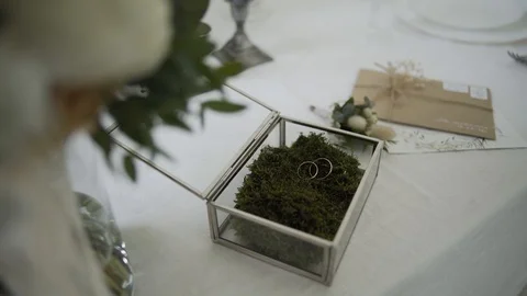Golden wedding rings on green moss. 库存影片 123734947