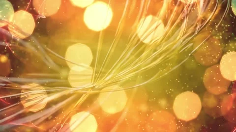 Golden Wheat Blur Stock Footage 311830660