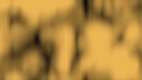 Golden Wheat field abstract texture moving slowly with soft light and bokeh.. Video stock 342422396