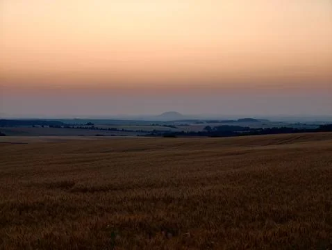 Golden wheat field with distant rolling hills beneath pastel sunset sky, wi.. Stock Photos