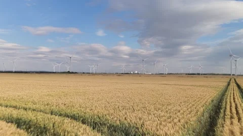 Golden Wheat Field Stretching to Distant Wind Turbines on a Partly Cloudy Day Stock Footage 340273659