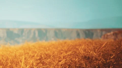 Golden wheat field under a clear blue sky near a mountain range Stock Footage 340978564