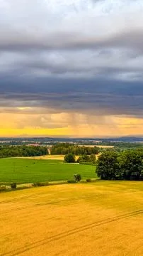 Golden wheat field under dramatic sky before thunderstorm before the storm Stock-Fotos