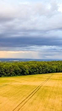 Golden wheat field under dramatic sky before thunderstorm before the storm Stock Photos