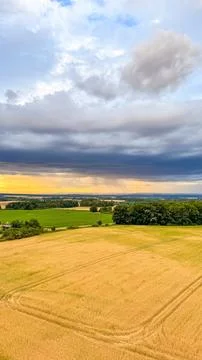 Golden wheat field under dramatic sky before thunderstorm before the storm Stock Photos