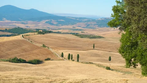 Golden wheat fields and cypress trees in tuscany landscape Stock Footage 332801682