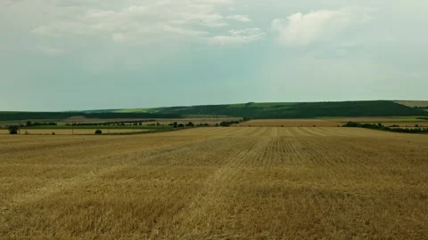 Golden wheat fields and harvested farmland under cloudy sky 1 Stock Footage 339780165