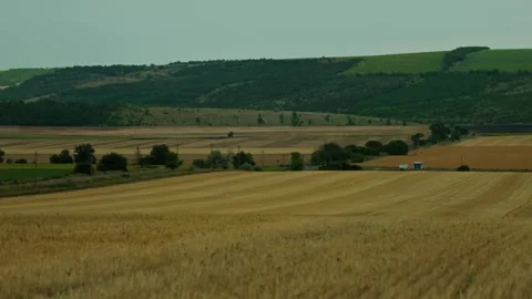 Golden wheat fields and harvested farmland under cloudy sky 2 Vidéo 339780313