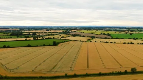 Golden wheat fields stretching across rural countryside under cloudy sky. Aerial 動画素材 338389454