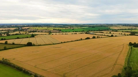 Golden wheat fields with tractor tracks and green meadows. Expansive patchwork 動画素材 339345122