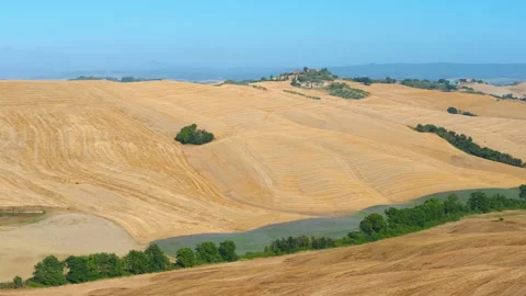 Golden wheat fields in tuscany rolling hills. Stock Footage 333210310