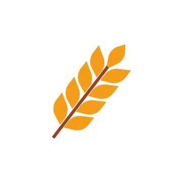 Golden wheat grain branch. Vector Stock Illustration