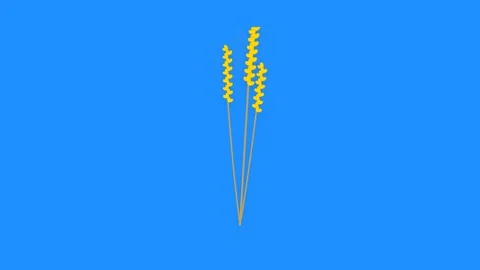 Golden Wheat Stalks Swaying on Solid Blue Background Flat Icon Motion Graphic Stock-Footage 346007151