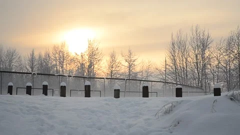 Golden Winter Sky 002 Stock Footage 238893657