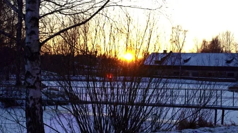 Golden winter sun setting behind silhouetted trees over a snowy landscape Stock Footage 335894167