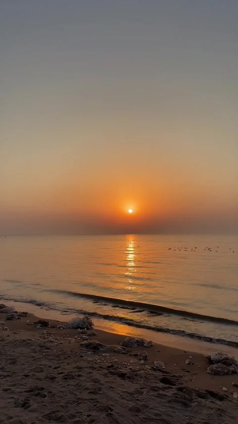Golden Winter Sunset Over Sandy Beach with Rippling Waves and Ice Fragments Stock Footage 329143280