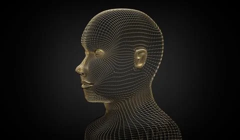Golden wireframe head shape - 3D illustration Illustrazione stock