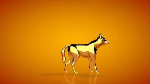Golden wolf howling seamless loop, orange studio, Luma Matte attached Stock Footage 129140134