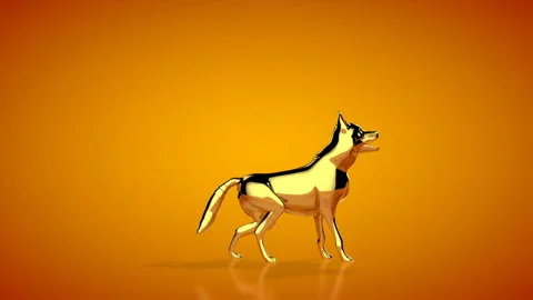 Golden wolf howling seamless loop, orange studio Stock Footage 134516592