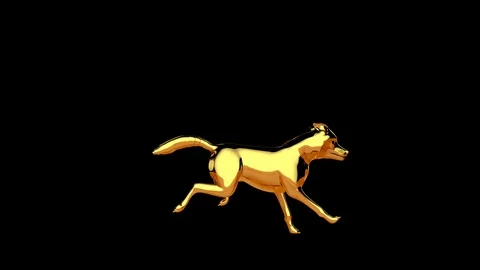 Golden wolf running seamless loop, against black Stock Footage 126091171