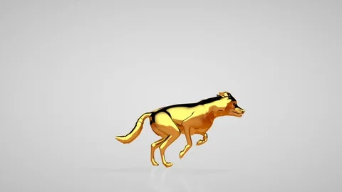 Golden wolf running seamless loop, white studio Stock Footage 128104890