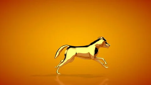 Golden wolf running seamless loop, orange studio, Luma Matte attached Stock Footage 135413246