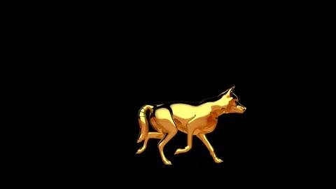 Golden wolf walking seamless loop Alpha Channel Stock Footage 120247806