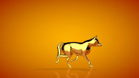Golden wolf walking seamless loop, orange studio, Luma Matte attached Stock Footage 130235781
