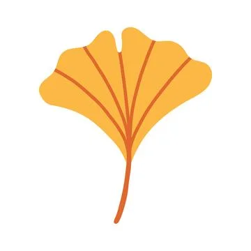 Golden yellow ginkgo leaf vector isolated on white. Minimalist autumn foliage Stock Illustration