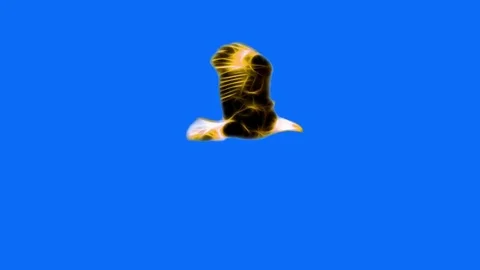 Golden yellow Neon bald Eagle fly cartoon seamless loop animation isolated on Stock-Footage 82611267
