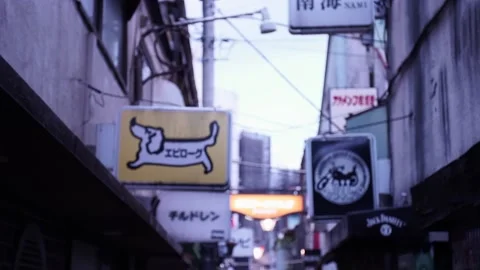 Goldengai_Pan_Down Stock Footage 160814411