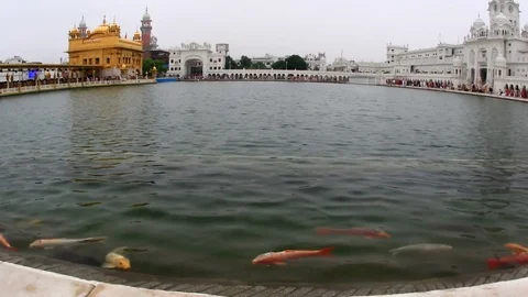 Goldentemple6 Stock Footage 78450021