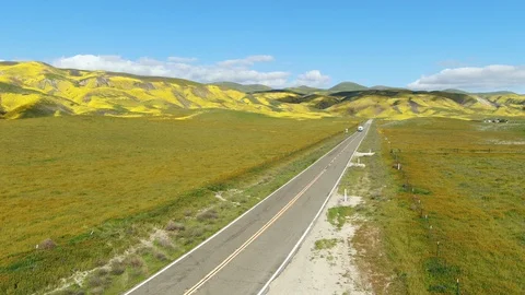 Goldfields Flowers Super Bloom Along HWY58 Near Carrizo Plain NM Establish Shot Video stock 106274748