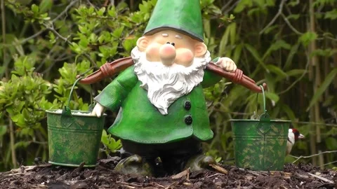 Goldfinch Bird Stock Footage 229756793