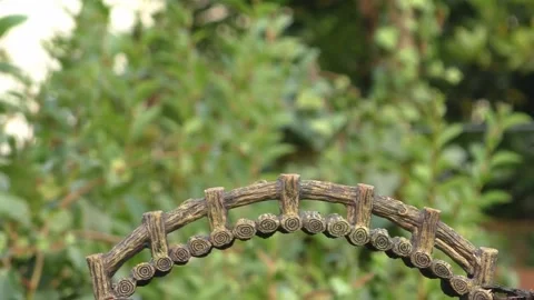 Goldfinch Bird Stock Footage 229757966