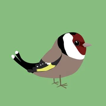 A goldfinch comic illustration イラスト素材