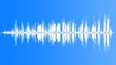 Goldfinch Song in HotelSound Effect