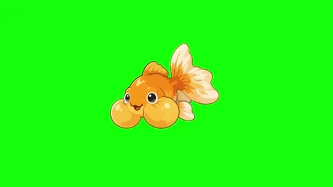 Goldfish animated swimming cute bubble eye moving fins 4k green screen back.. Stock Footage 345856551