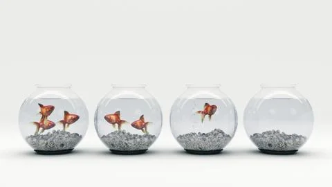 Goldfish in aquarium. 3d rendering Stock Illustration